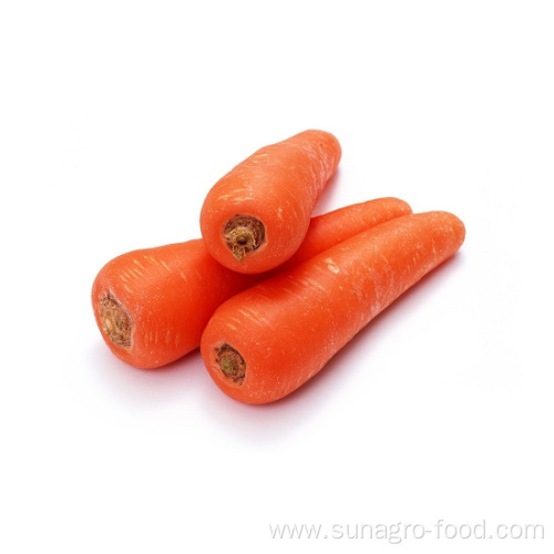 Organic Fresh And Crisp Carrots